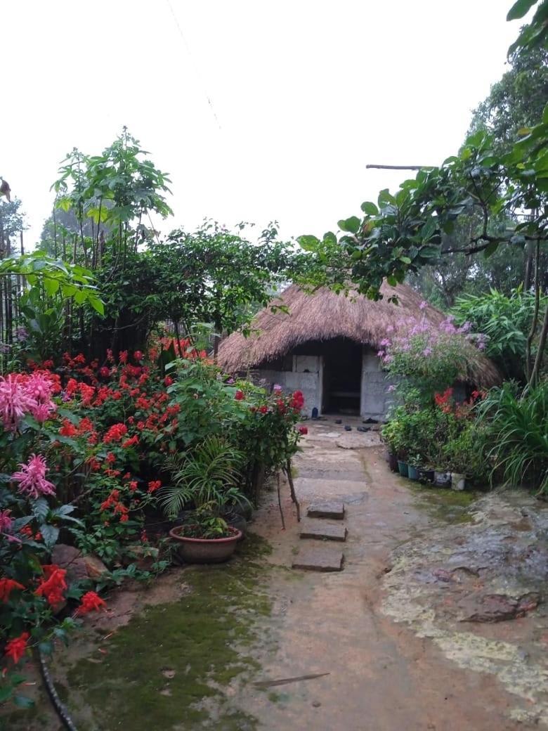 Meikha Homestay Pynursla Esterno foto